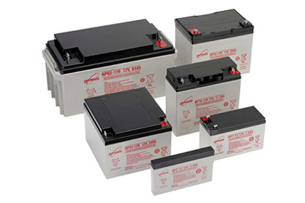 Enersys NP1.2-12